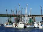 DSC01194.jpg