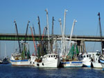 marinas