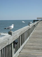 pier pier