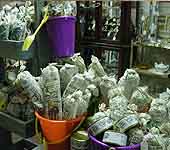 shopping shopping